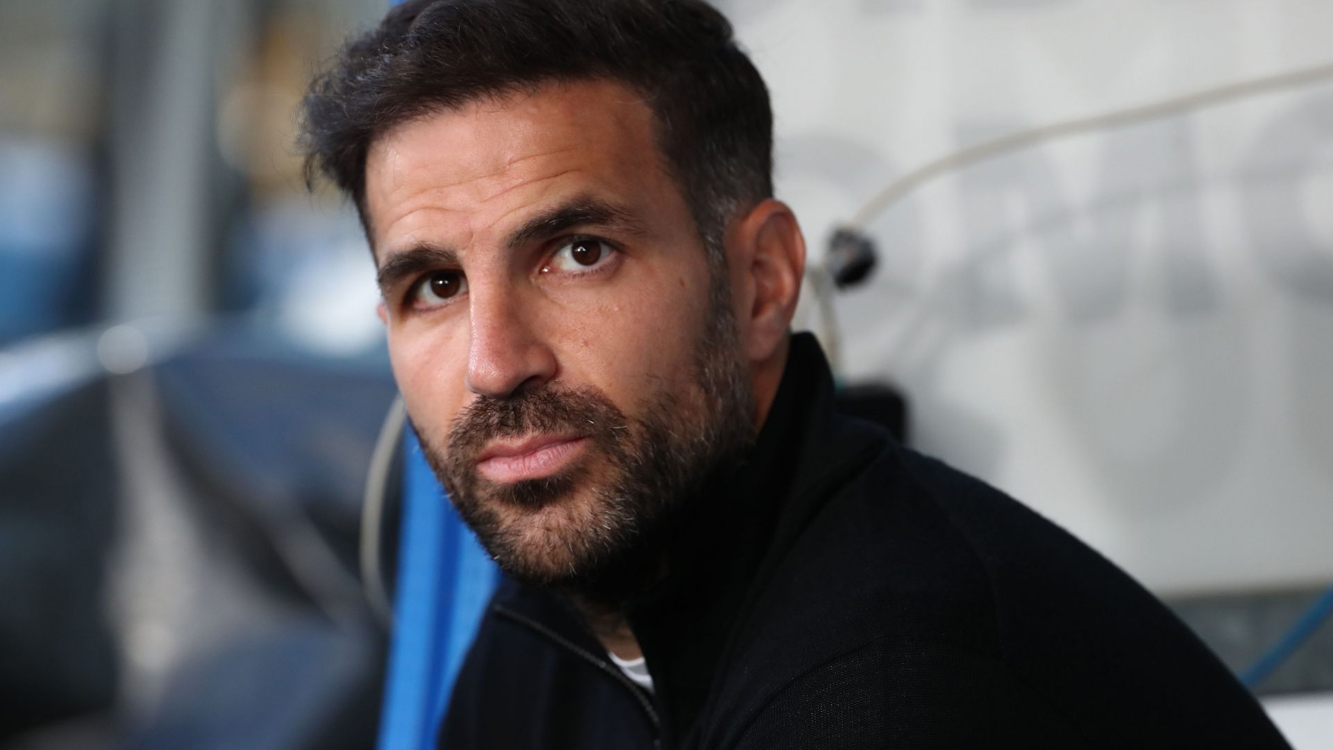 Cesc20Fabregas