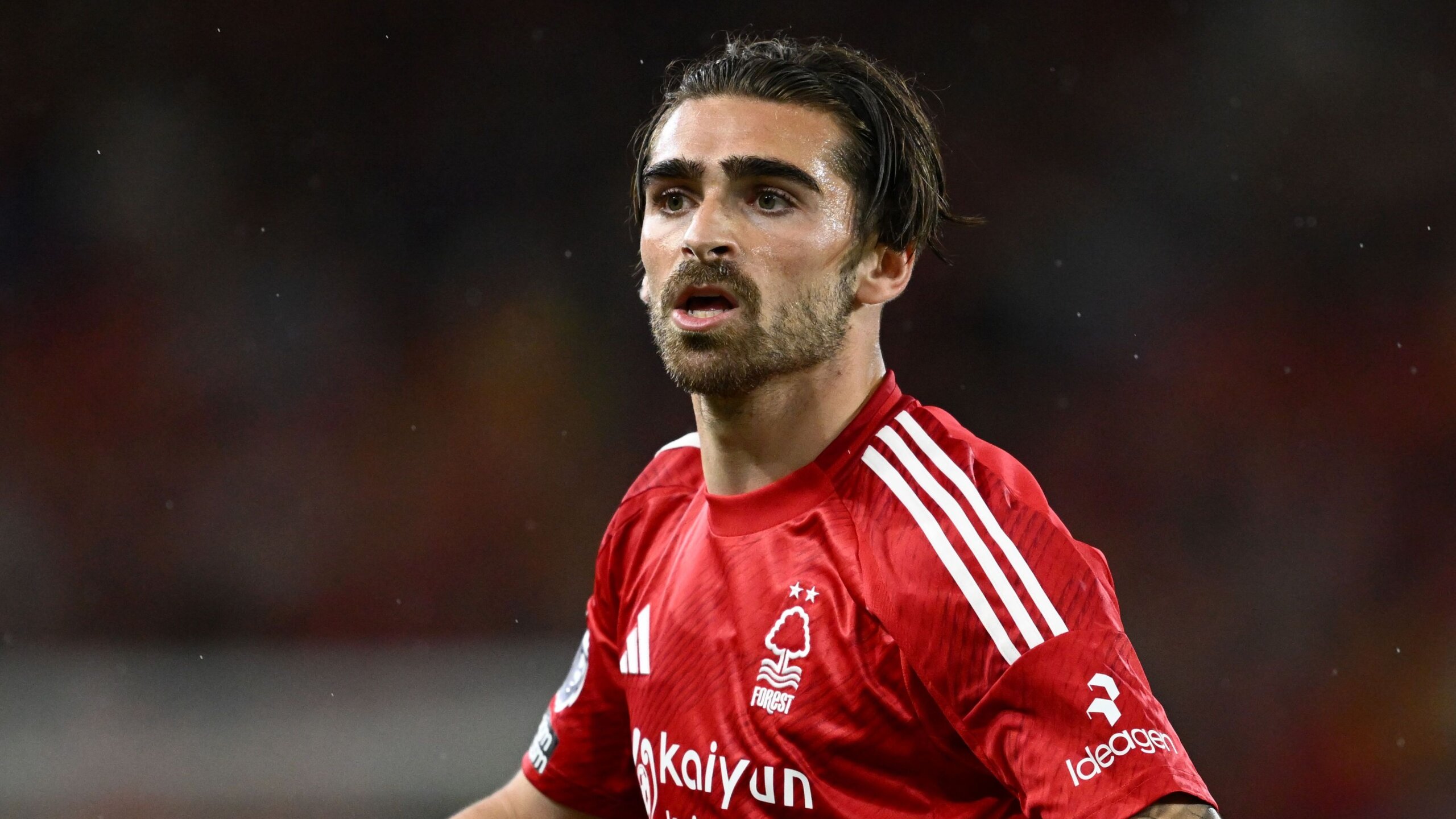 Jota Silva Turns Down Leeds to Seal Sporting CP Loan Move 1 GettyImages 2213014891 scaled