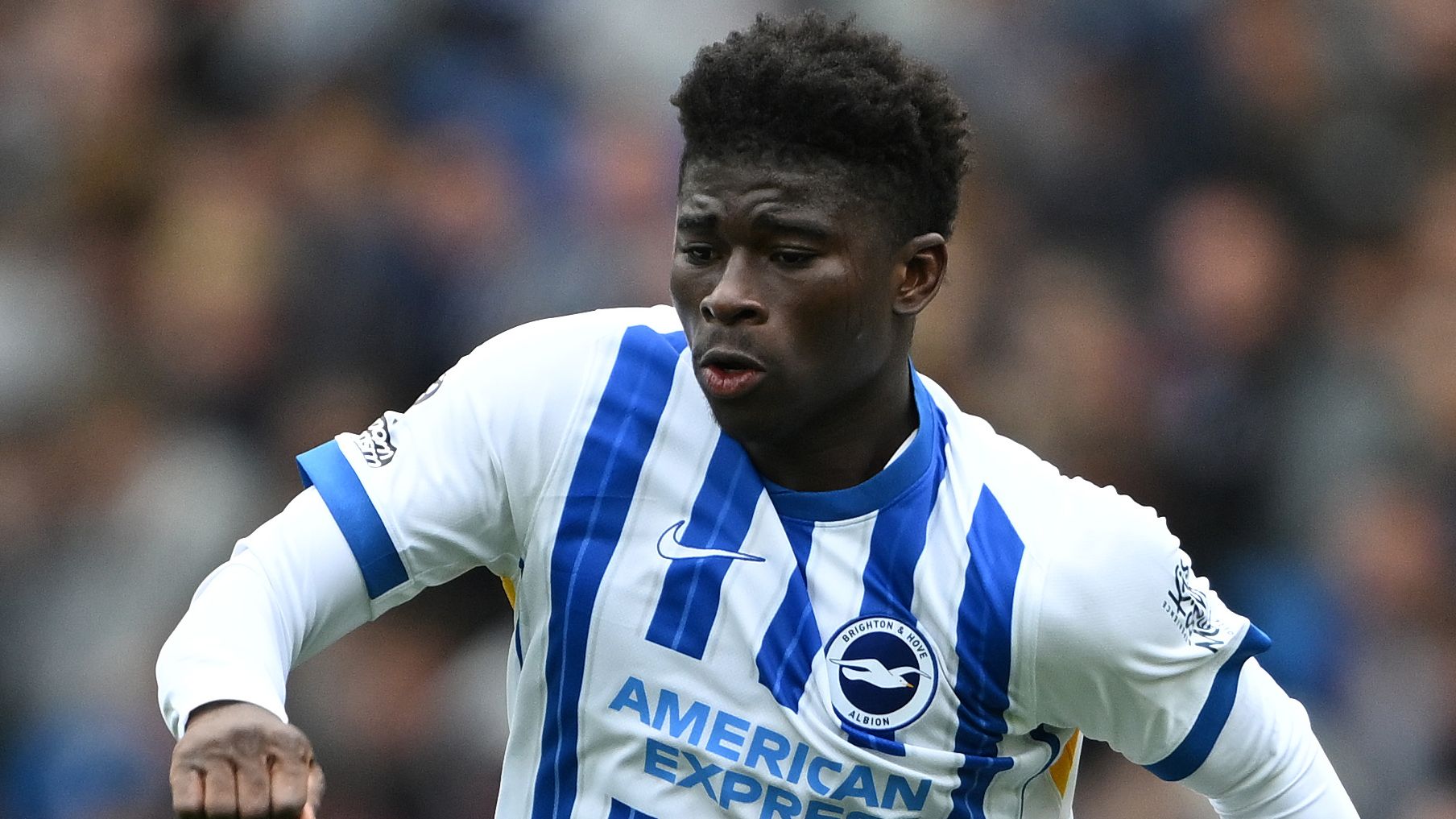 Baleba’s Brighton Absence Fuels Manchester United Transfer Talk 3 GettyImages 2213396759