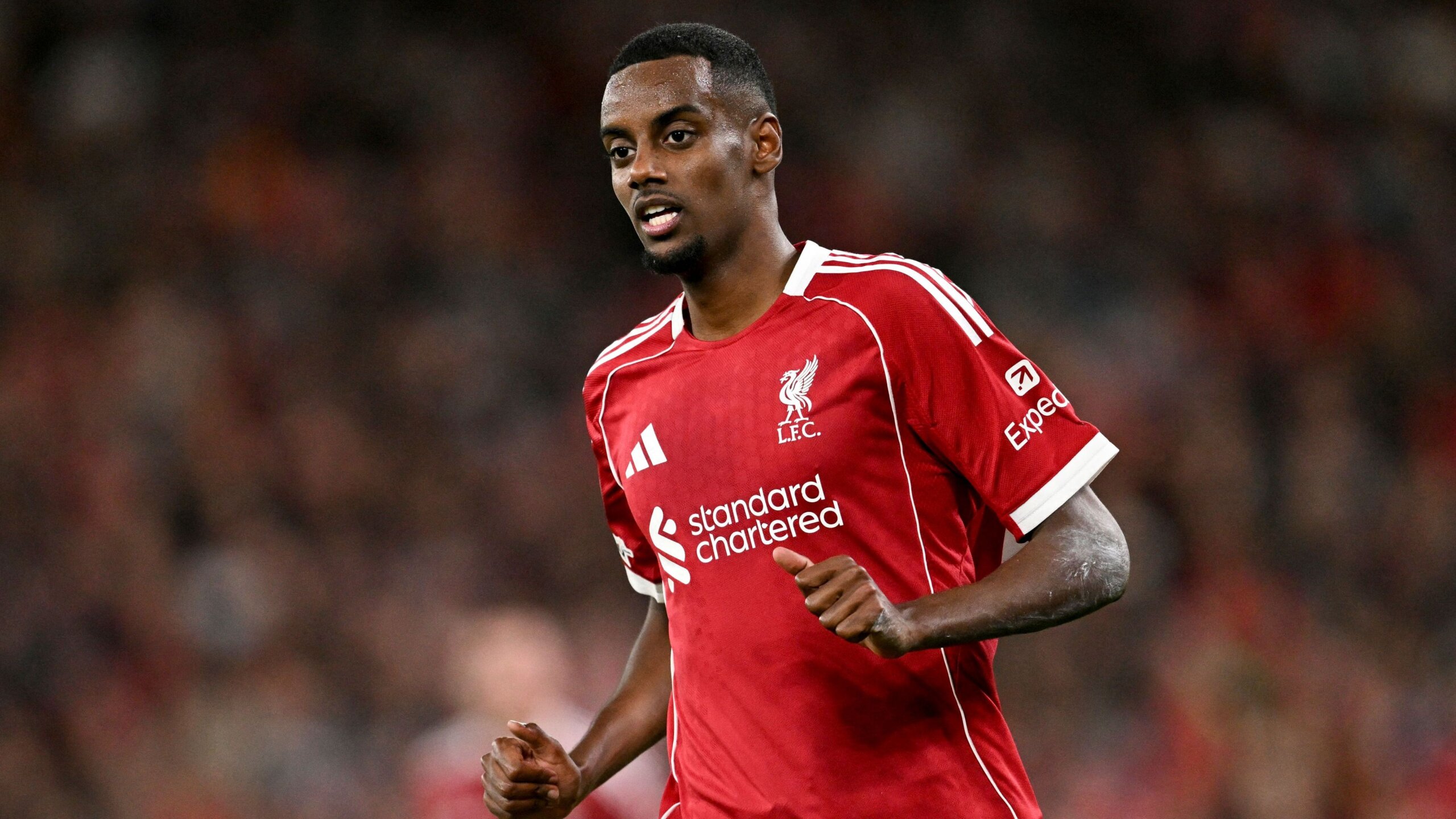 Alexander Isak Earns Support from Arne Slot After Liverpool Defeat 3 GettyImages 2235422284 scaled