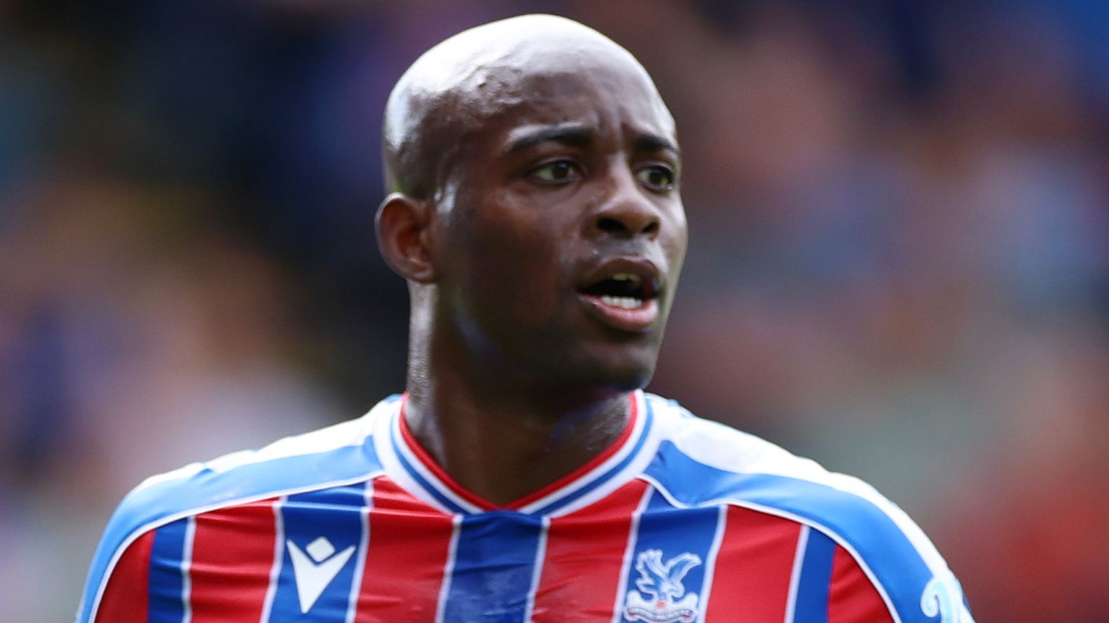 Mateta Open to Crystal Palace Exit Amid Champions League Ambitions 6 GettyImages 2231943611