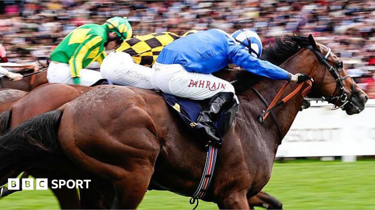 Almeraq completes comeback from horror fall with Ascot win 1 52db58e0 6cc5 11f1 95c0 035571ba4bec