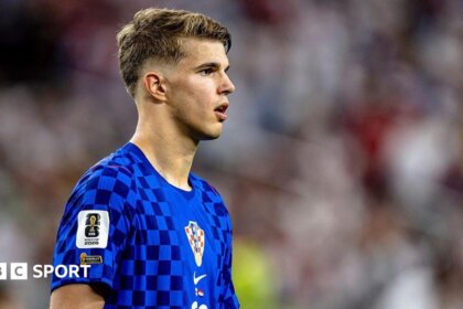 Did Luka Vuskovic’s Bundesliga cameo strengthen his Tottenham case? 5 91d619e0 6b1c 11f1 912d f311c8e89719