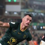 South Africa ease to seven-try win over pointless Wales 3 0c5f1750 82c6 11f1 adf9 c14531781464